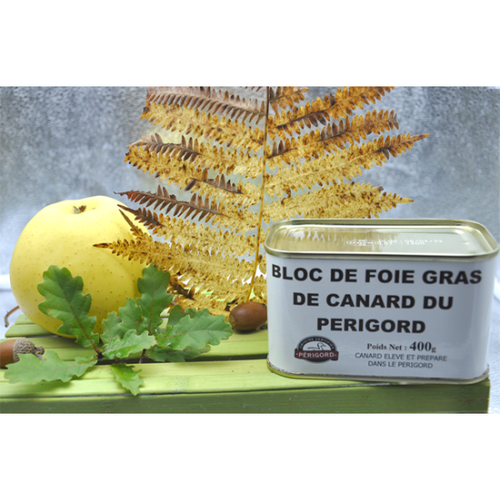 bloc-foiegras-canard-igp_400g